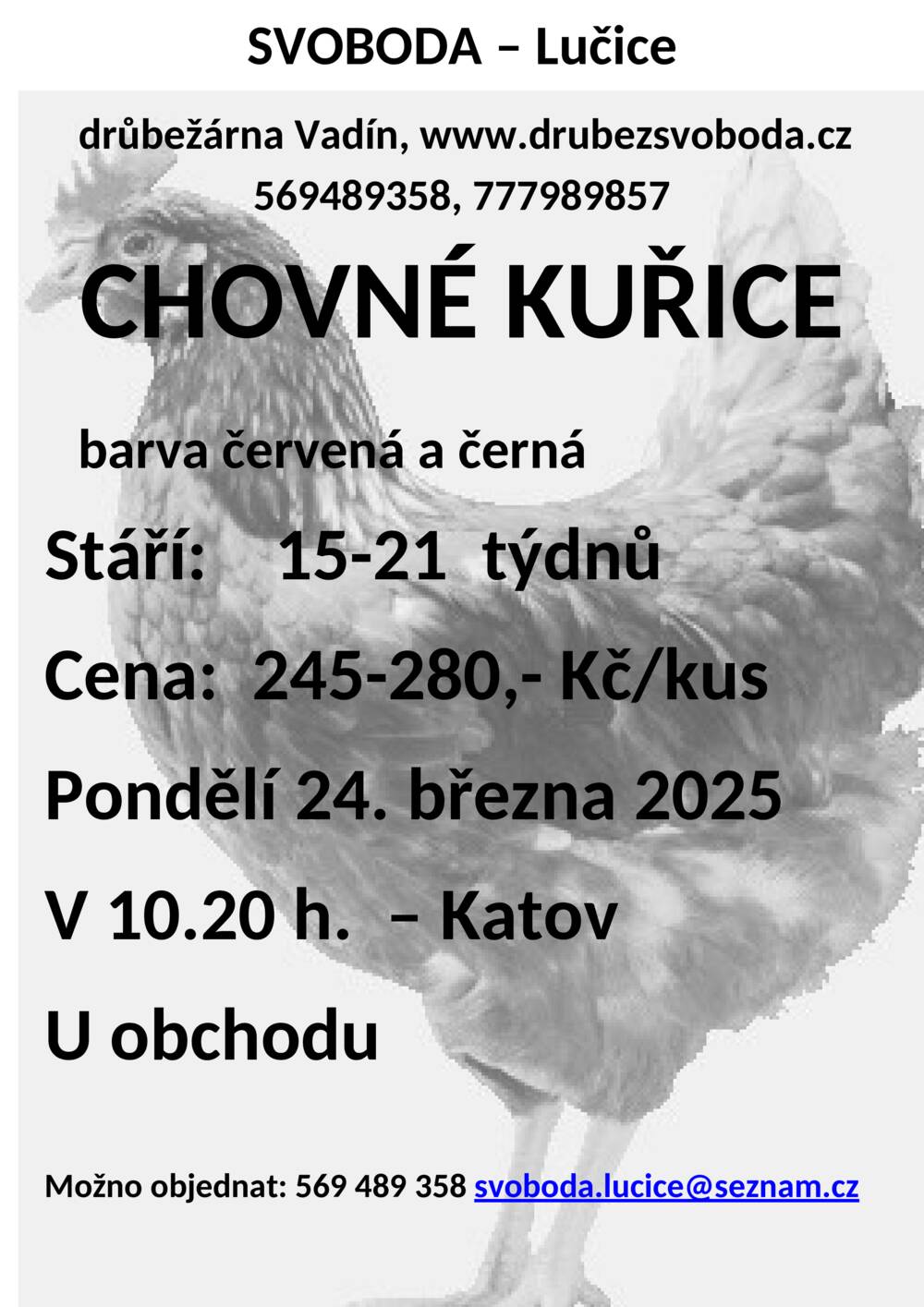 Plakát