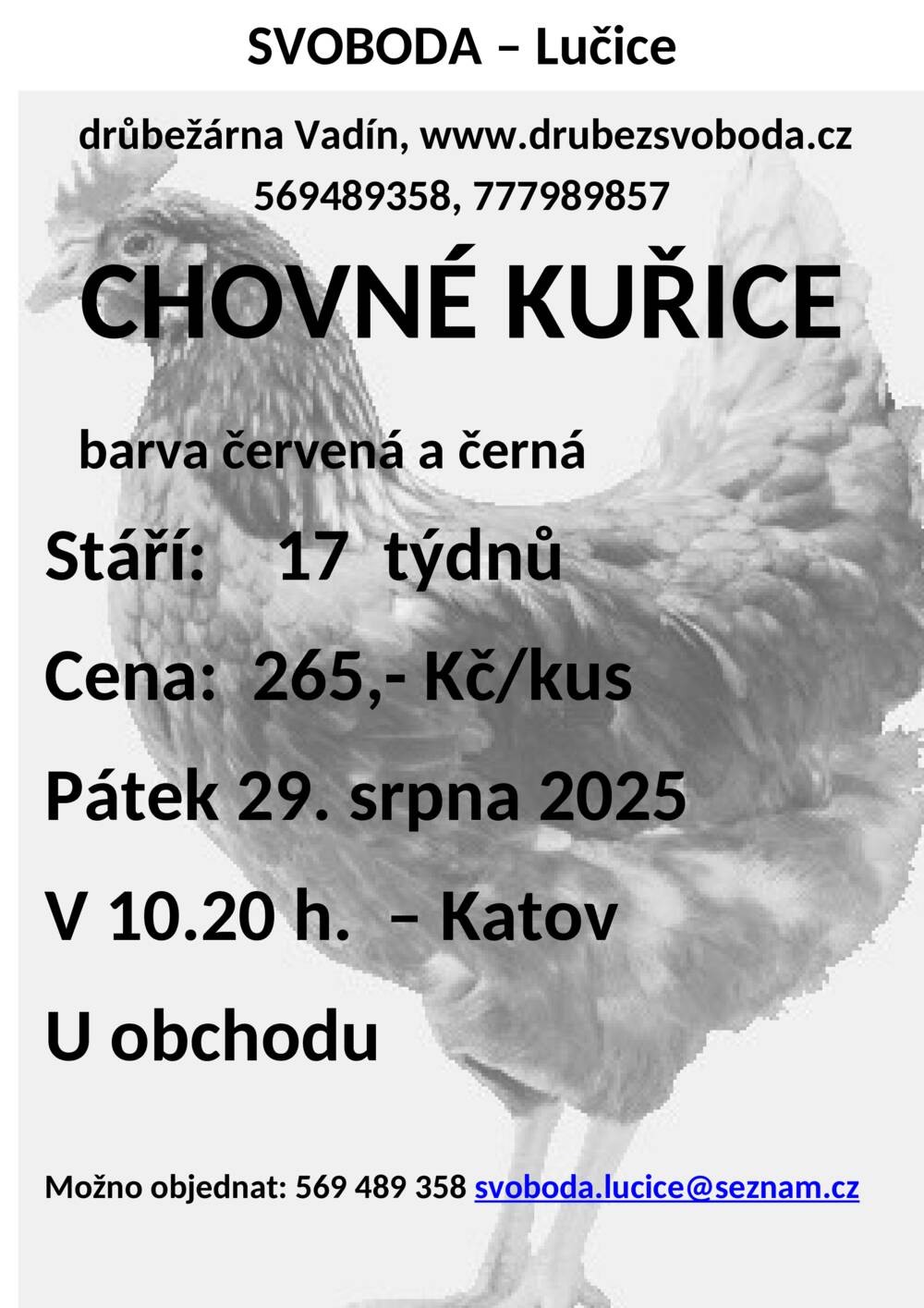 Plakát