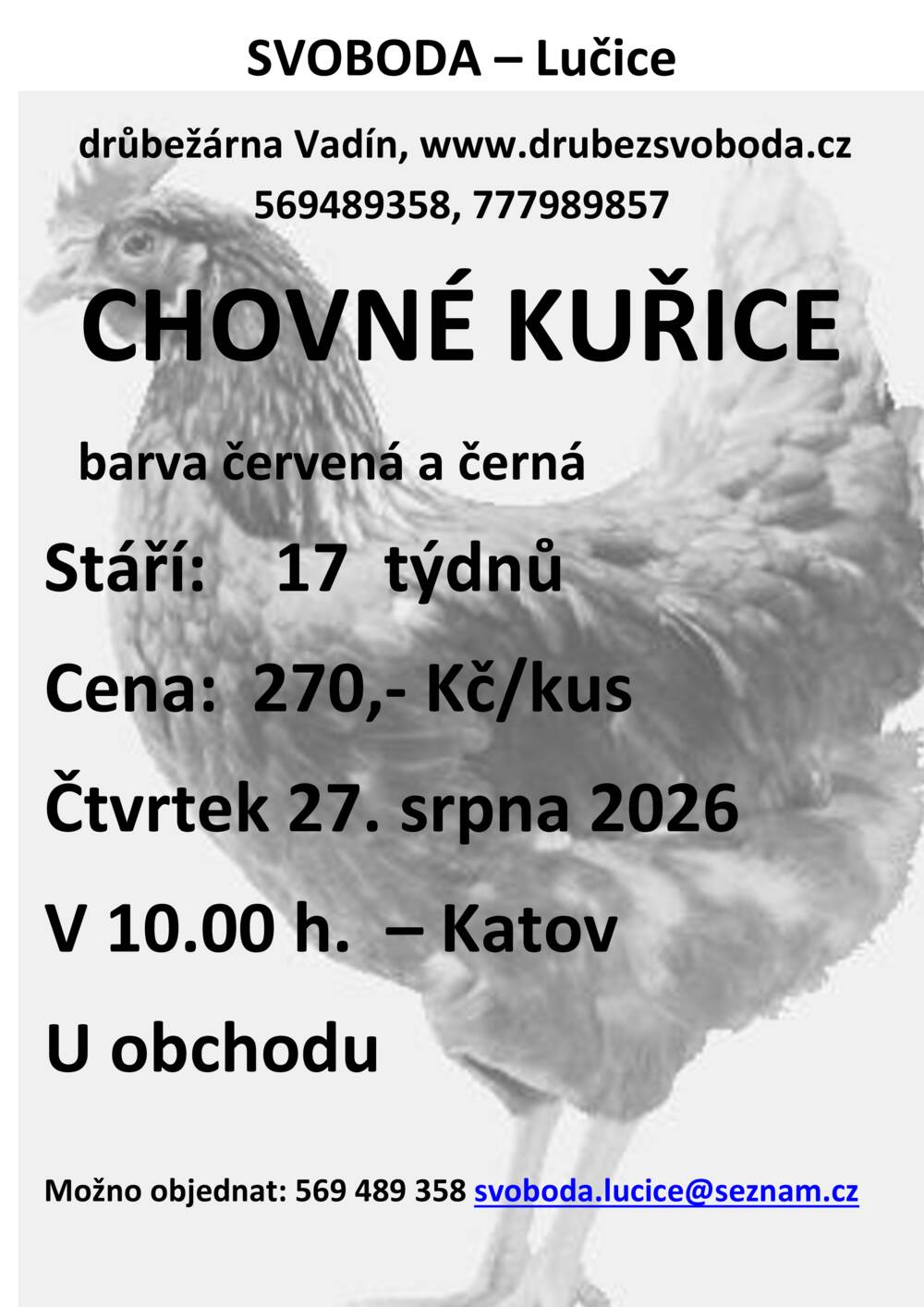 Plakát